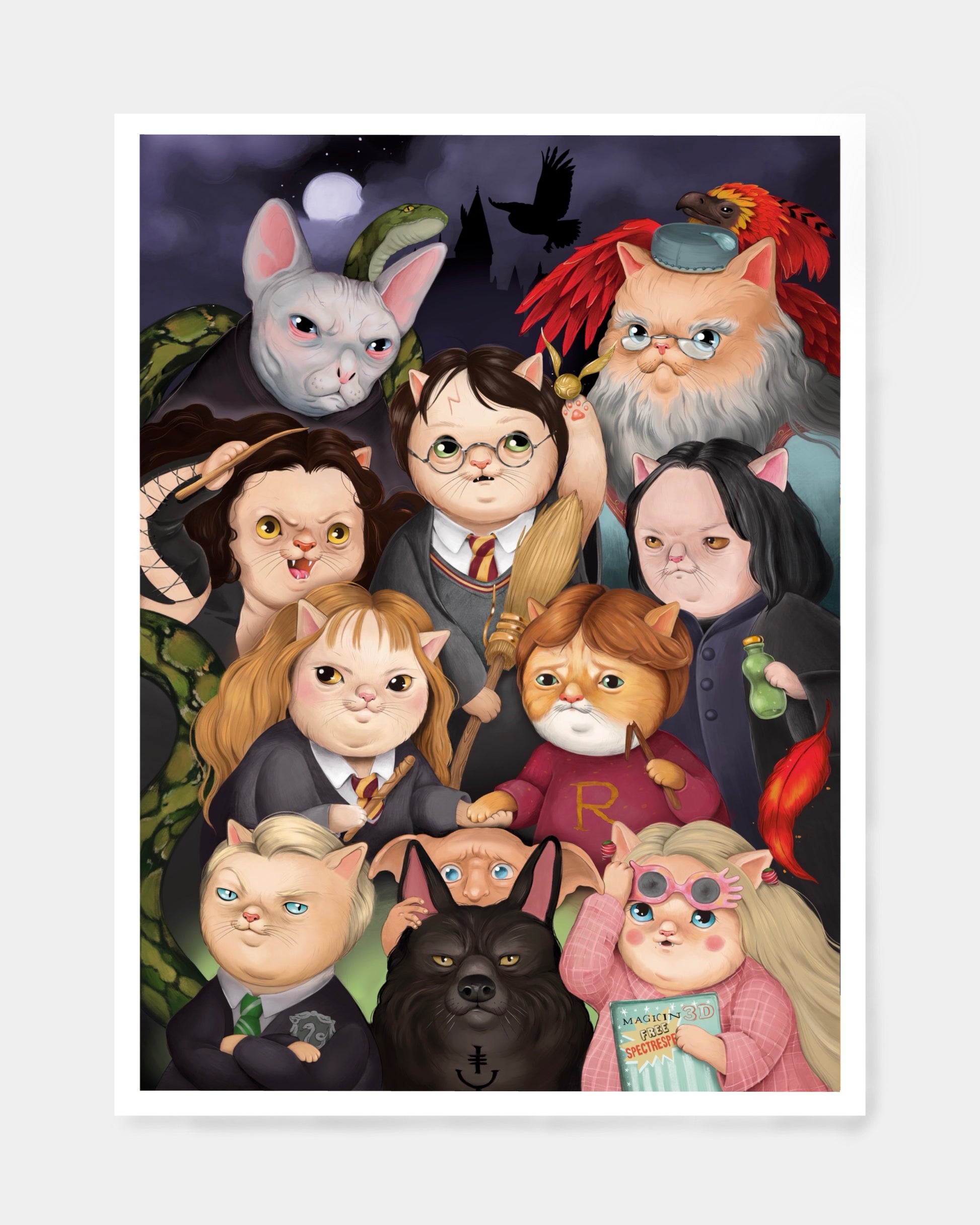 stampa con gattini vestiti da Harry Potter ad Hogwarts.